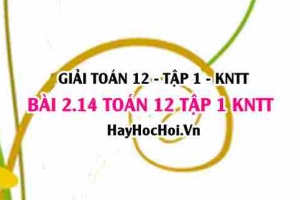 Giải 2.14 Toán 12 tập 1 SGK Kết nối tri thức